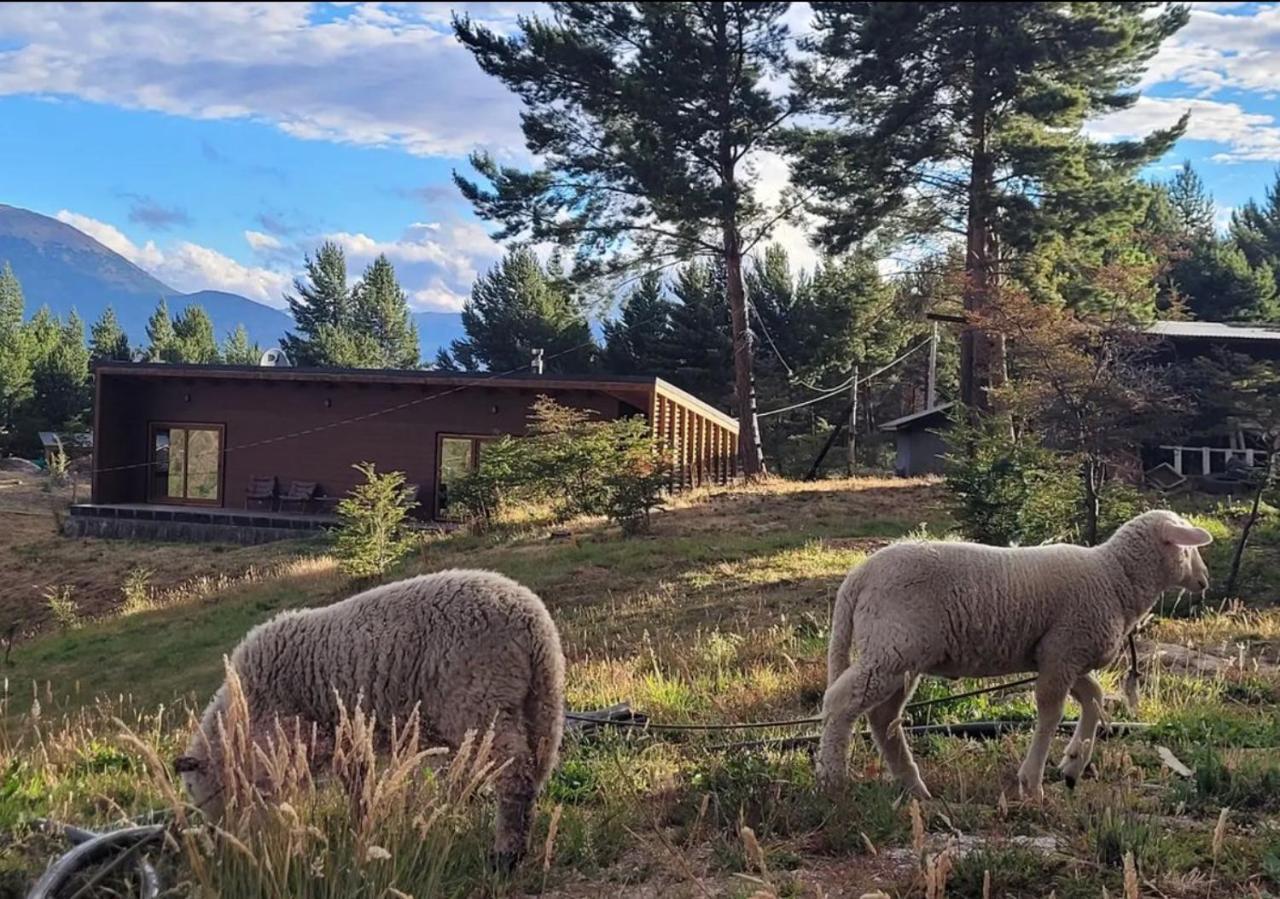 コクランTurismo Y Cabanas Dragon De La Patagoniaアパートメント エクステリア 写真